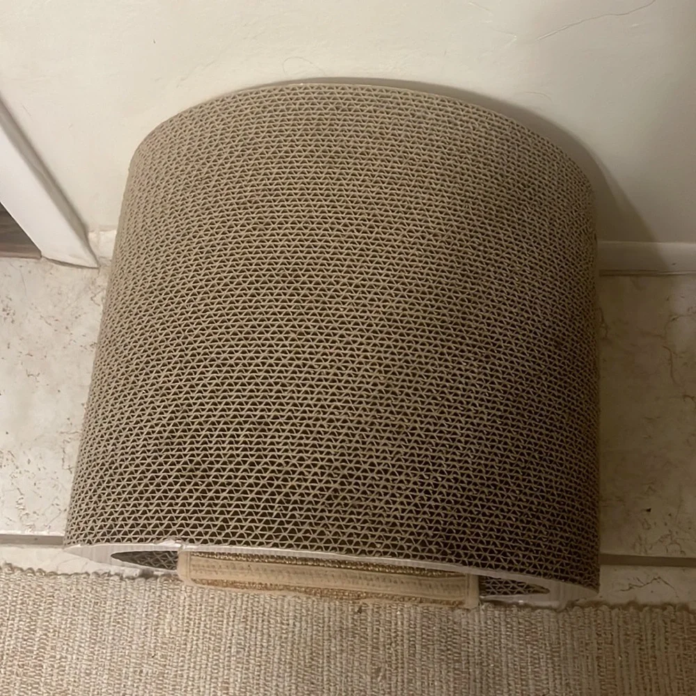 Cat scratching home